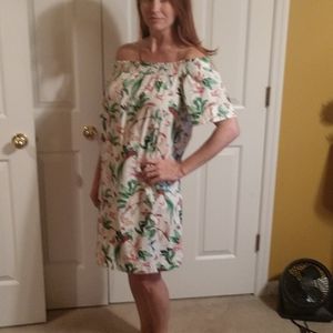 Ann Taylor Dress